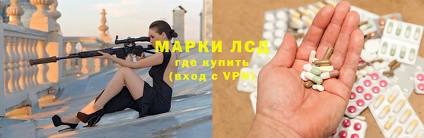 прущие грибы Аркадак