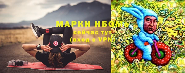 прущие грибы Аркадак
