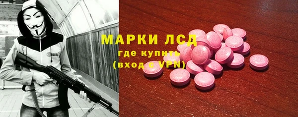 прущие грибы Аркадак