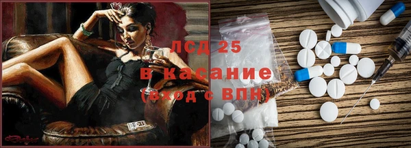 прущие грибы Аркадак