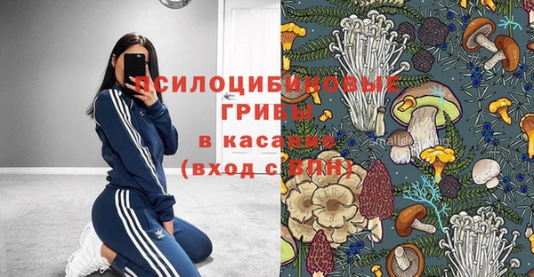 прущие грибы Аркадак