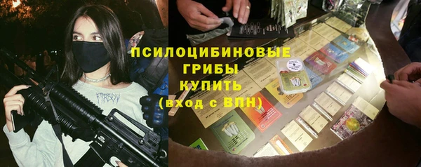 прущие грибы Аркадак