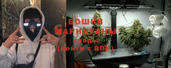 прущие грибы Аркадак