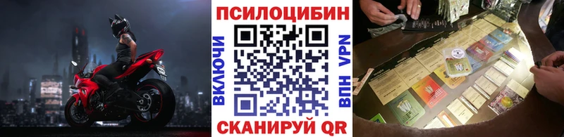 OMG рабочий сайт  Зеленоградск  Псилоцибиновые грибы мицелий 
